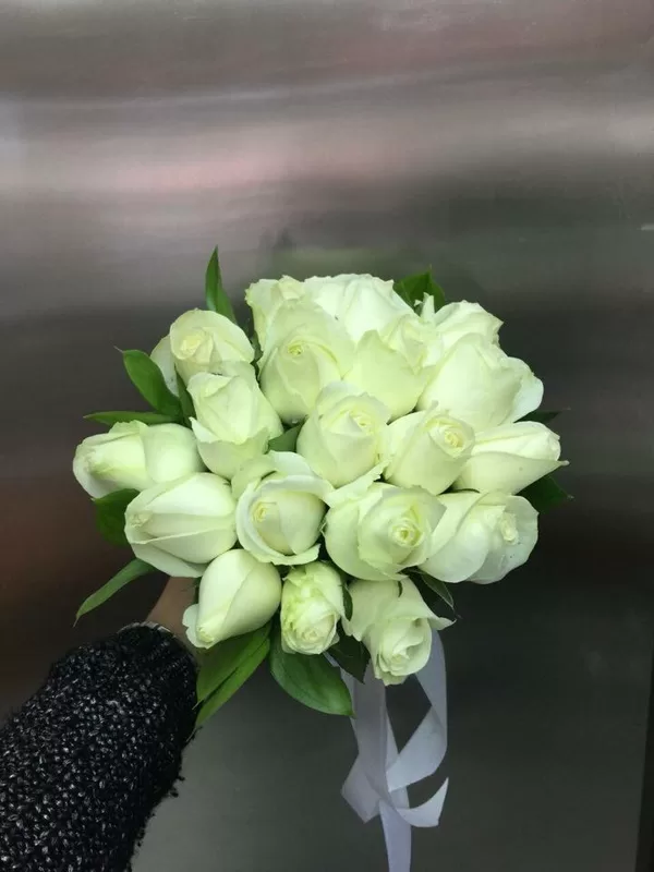 NAT 007