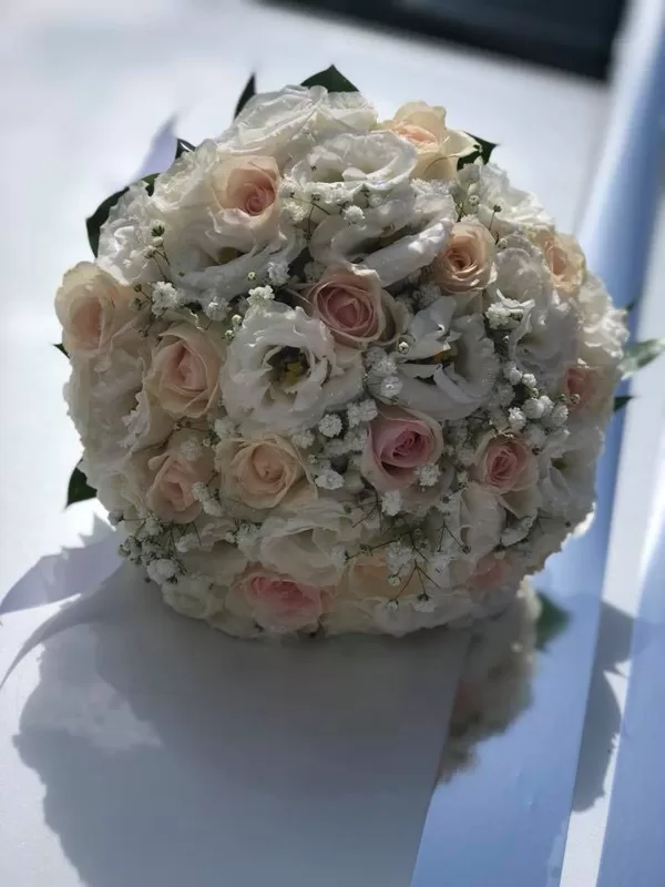 NAT 059